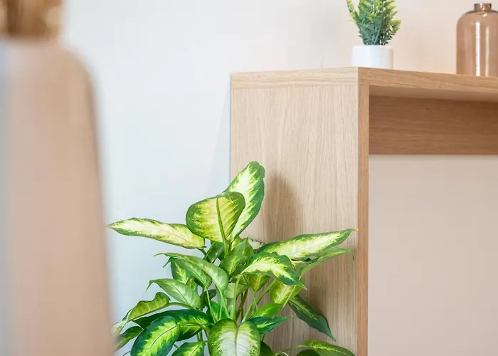 Aparthotel Unicos 3*